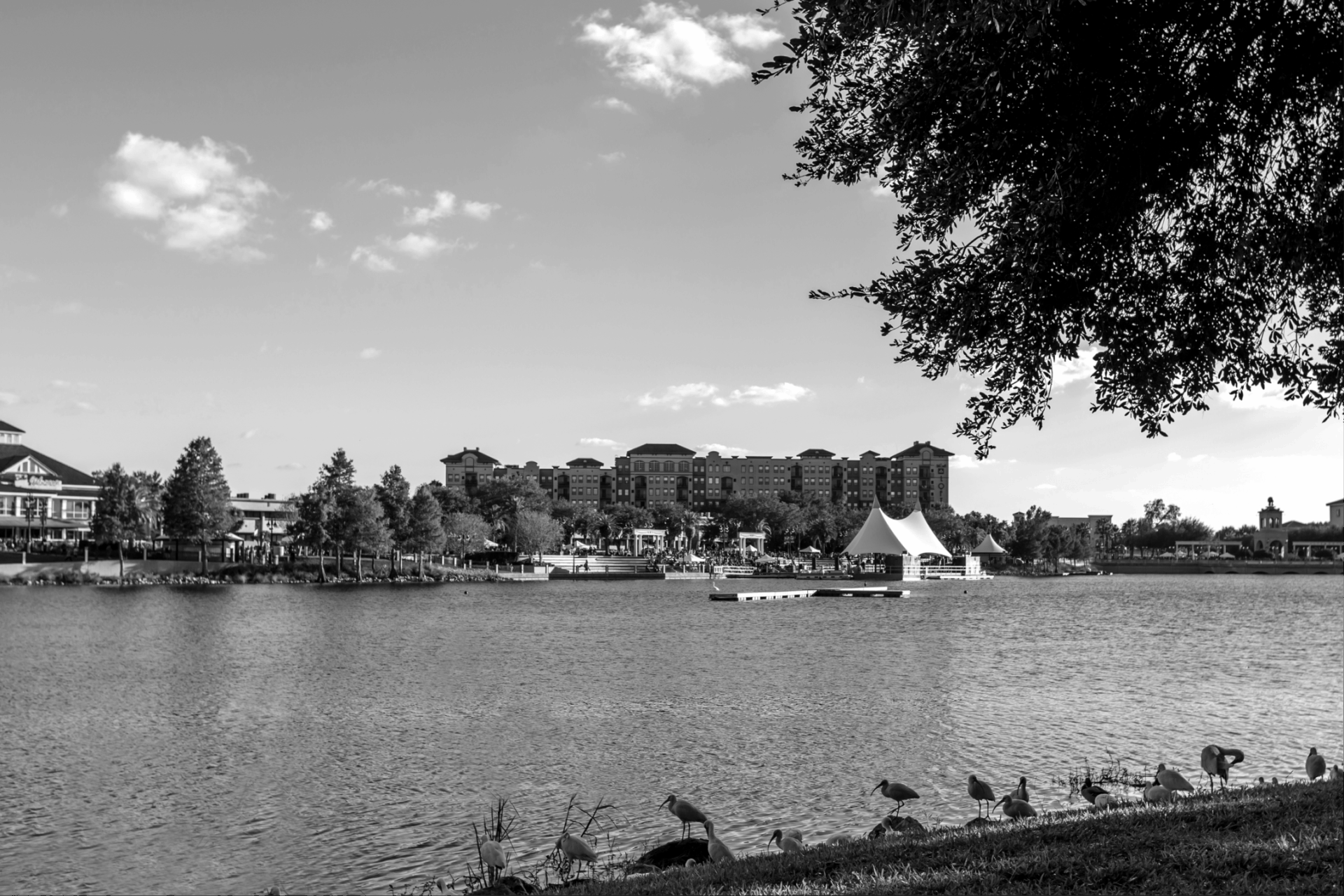 cranes roost park